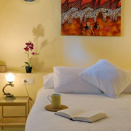Caracol Punta Mujeres Sea Views 公寓 *