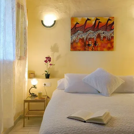 公寓 Caracol Punta Mujeres Sea Views 阿列塔